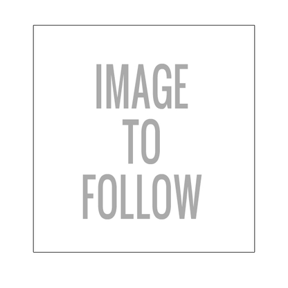 Lizzard Coffee Cup 360ml Travel Cup